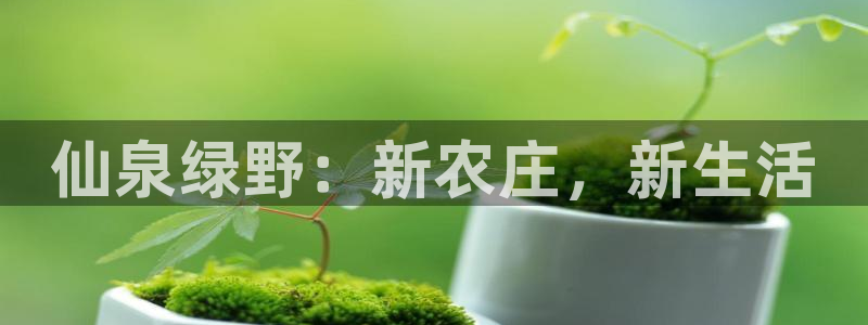 fh至尊官方旗舰店