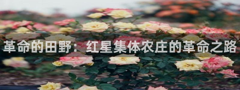 FH至尊开户