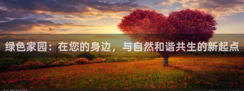 FH至尊平台是什么平台