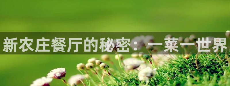Fh至尊凤凰平台
