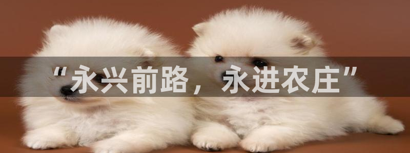 fh至尊闪退