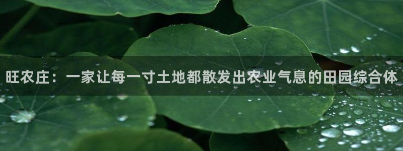 凤凰娱乐FH至尊App