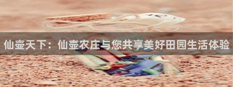 fh至尊闪退