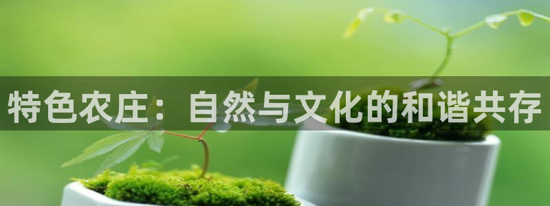 FH至尊登陆