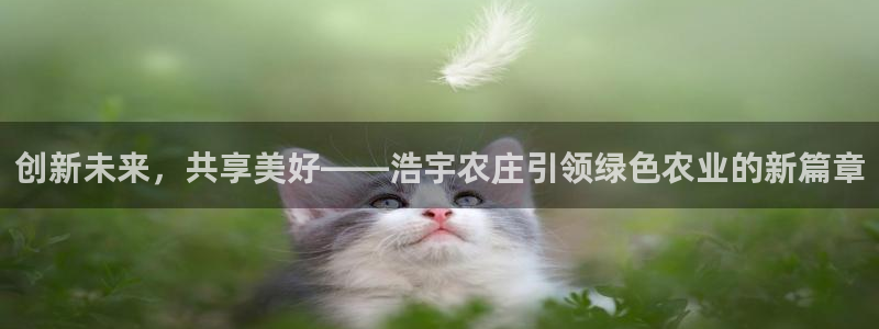 fh至尊凤凰官方旗舰店