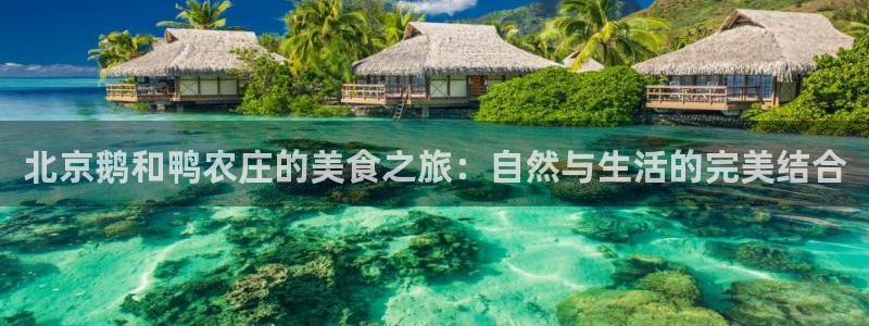 fh至尊邀请码