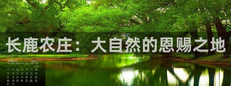 fh至尊平