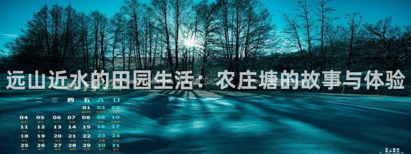 fh至尊诚信19年