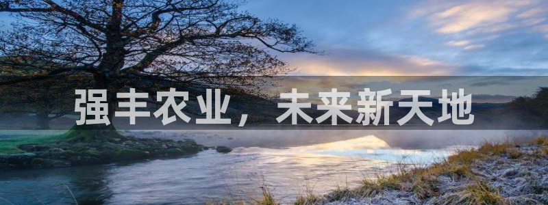 fh至尊是老凤凰吗