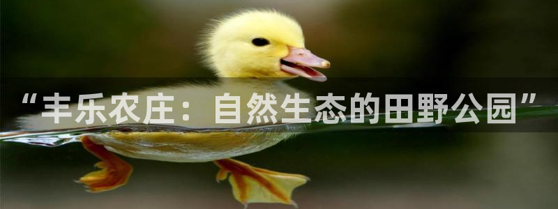 至尊FH下载