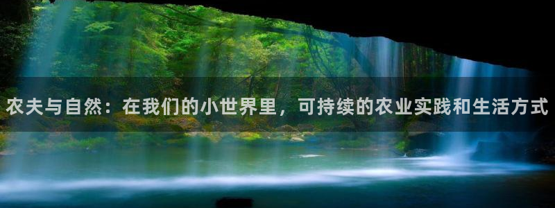 FH至尊怎么样