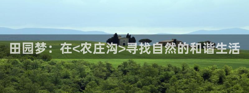FH至尊公安