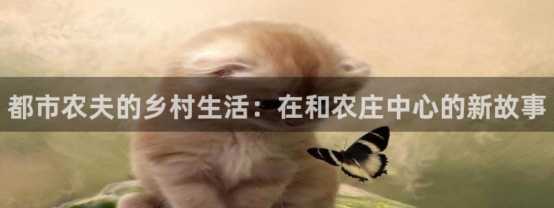fh至尊是不是假的