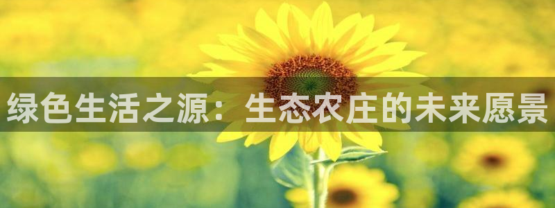 fh至尊游戏代理