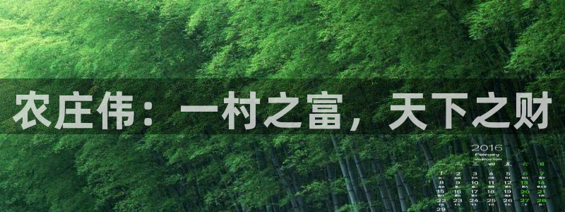 fh至尊版手机app