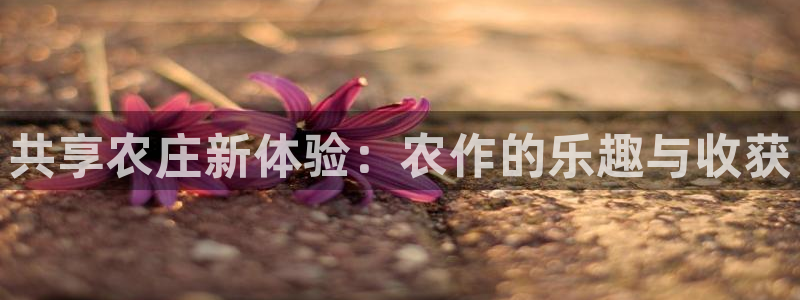 fh至尊app靠谱吗