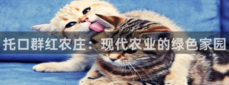 FH至尊app下载