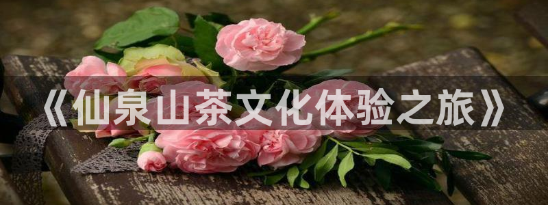 FH至尊娱乐注册