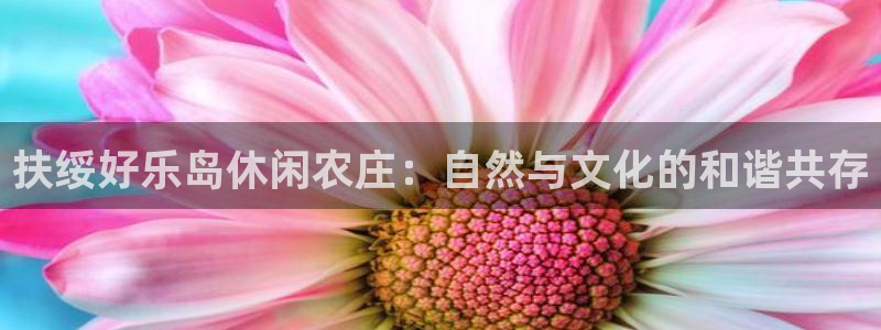 fh凤凰至尊