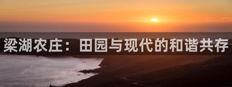 fh至尊平台多少年了