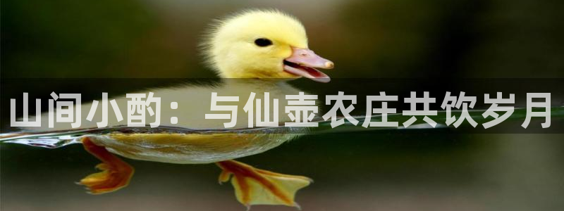 fh至尊怎么改密码