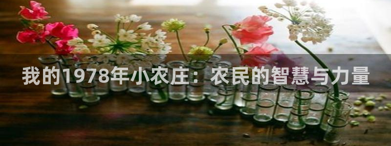 fh至尊凤凰代理