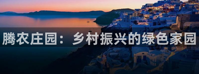 fh至尊代理