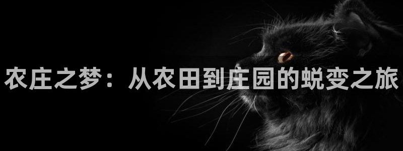fh至尊平台安全吗