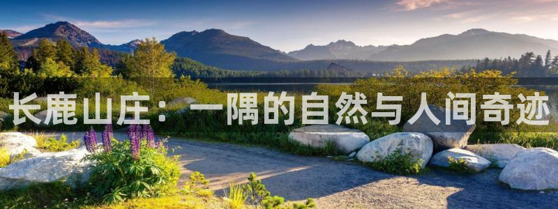 fh至尊注册登陆