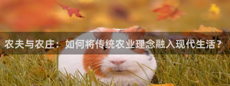 fh至尊正规吗