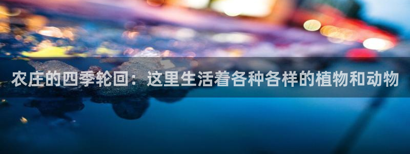 fh至尊平台如何提现