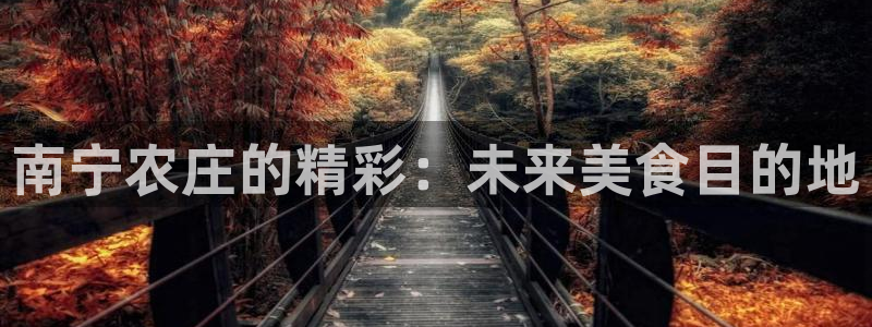 fh至尊闪退