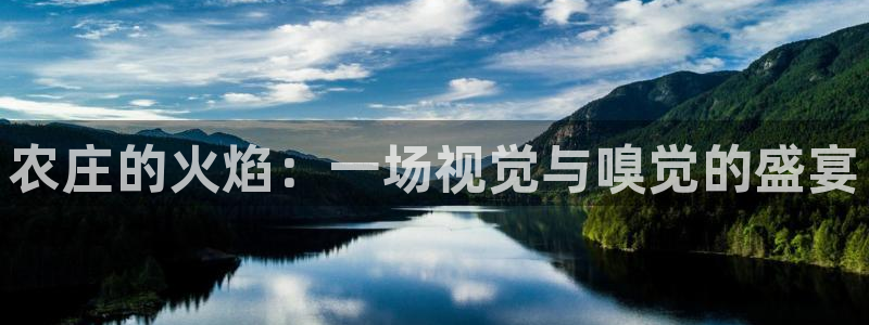 fh至尊正常登录