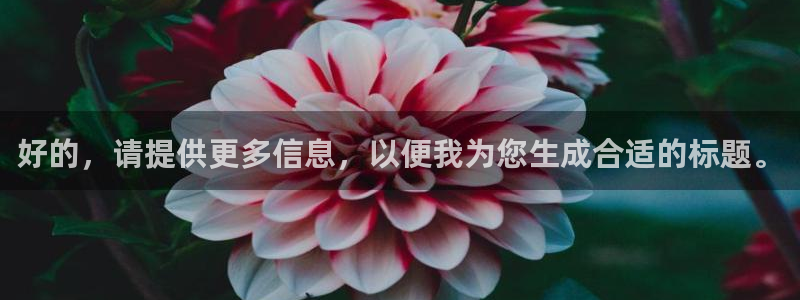 FH至尊官方入口