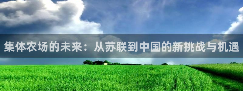 fh至尊是什么平台