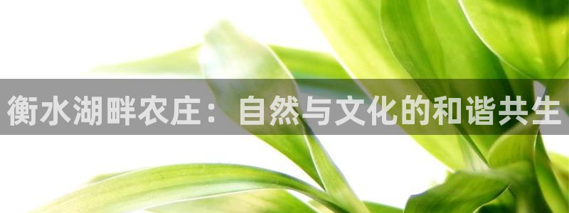 FH-FH至尊版的功能