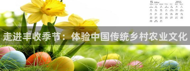 fh至尊吧百度贴吧