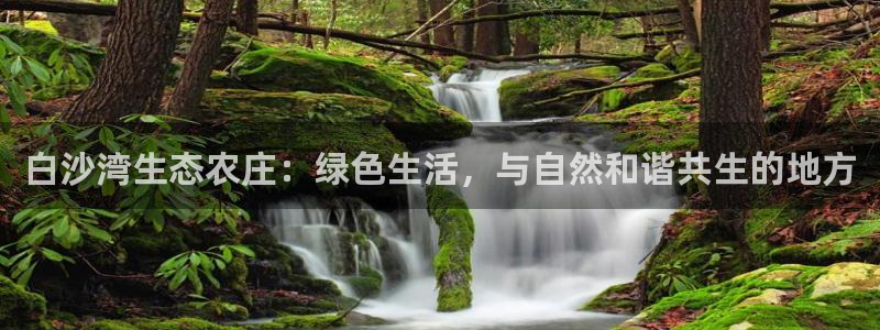 fh至尊凤凰平台下载