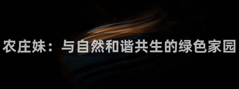 FH至尊属于哪里啊公司