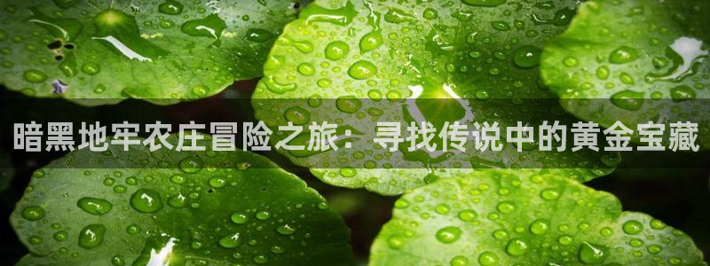 fh至尊吧百度贴吧
