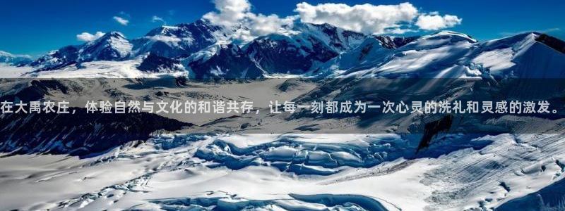 沃尔沃fh500至尊款