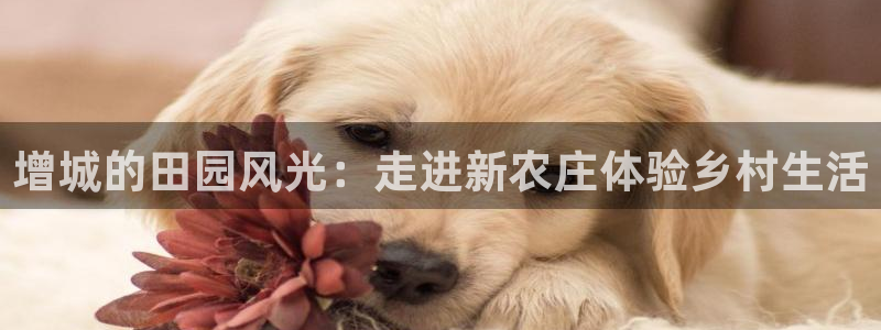 FH至尊版地址