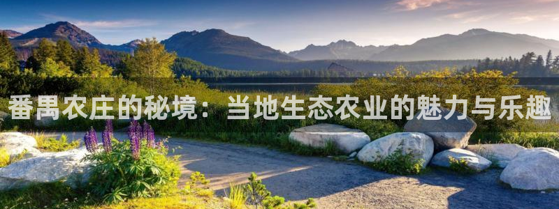 fh凤凰至尊app