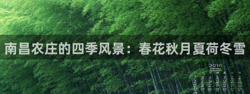 fh至尊平台冻结