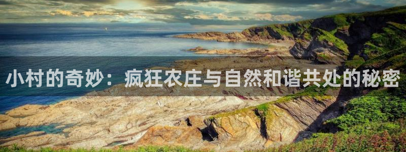 老凤凰改名FH至尊黑钱