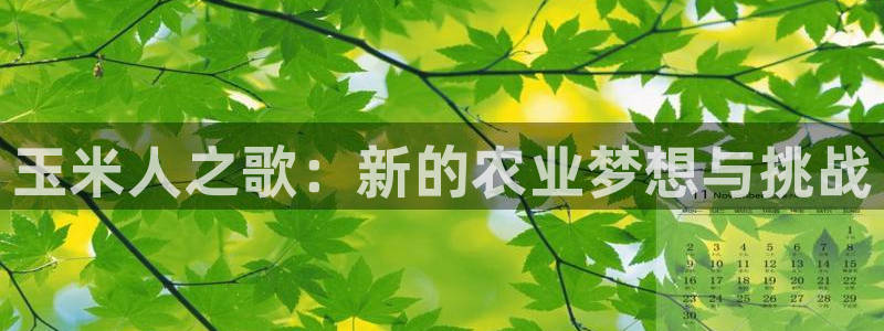 fh凤凰至尊版