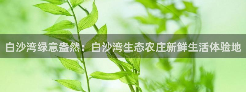 fh至尊基础奖金多少