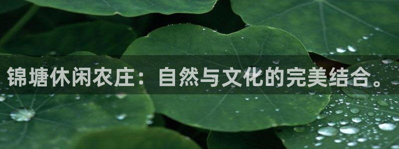 沃尔沃fh500至尊款