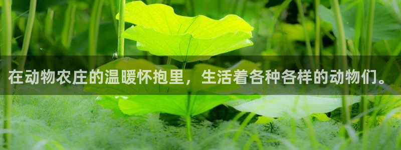 沃尔沃fh至尊旗舰版