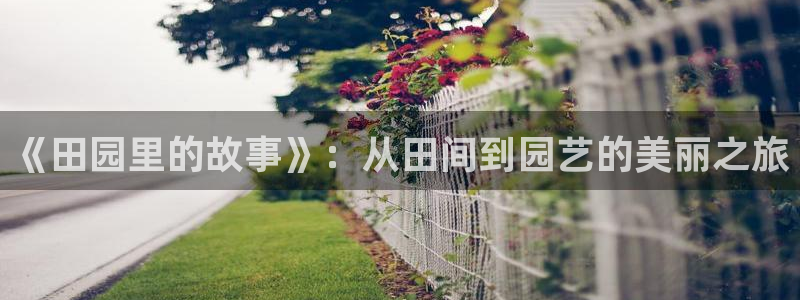 fh至尊是凤凰平台吗